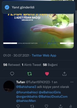 56153A65-04C7-4DAB-9125-5F01C5D74D6F.jpeg