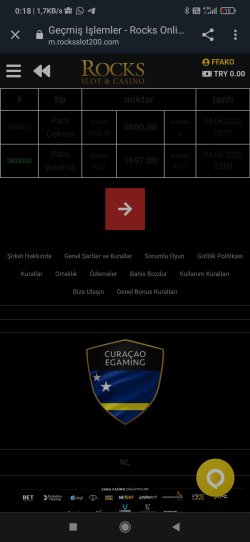 Screenshot_2022-06-09-00-18-40-924_com.android.chrome.jpg