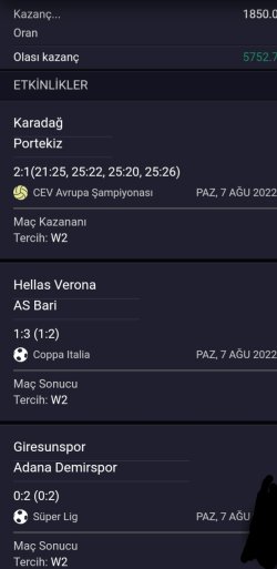 Screenshot_20220807_203013.jpg