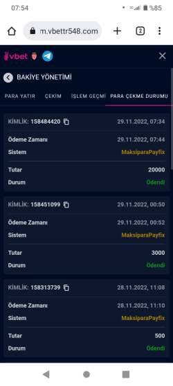 Screenshot_20221129-075400.png