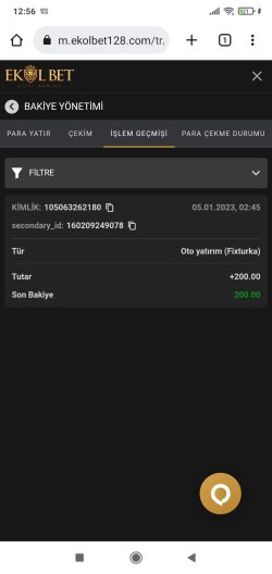 Screenshot_2023-01-05-12-56-13-895_com.android.chrome.jpg
