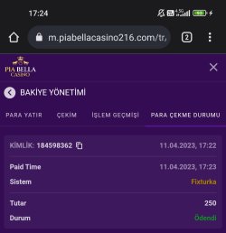 Screenshot_2023-04-11-17-25-01-852-edit_com.android.chrome.jpg