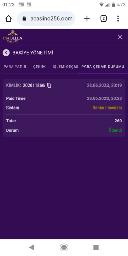 Screenshot_20230629-012347.png