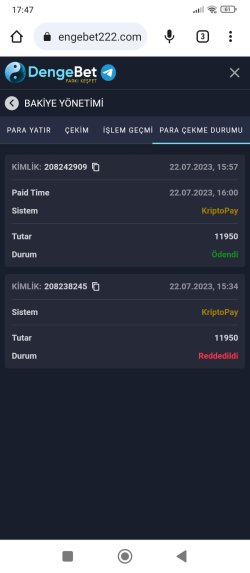 Screenshot_2023-07-22-17-47-41-311_com.android.chrome.jpg
