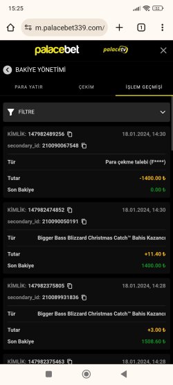 Screenshot_2024-01-18-15-25-58-189_com.android.chrome.jpg