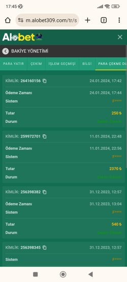Screenshot_2024-01-24-17-45-51-788_com.android.chrome.jpg