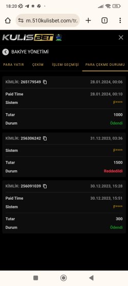 Screenshot_2024-01-28-18-20-54-389_com.android.chrome.jpg