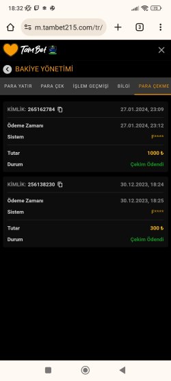 Screenshot_2024-01-28-18-32-09-911_com.android.chrome.jpg