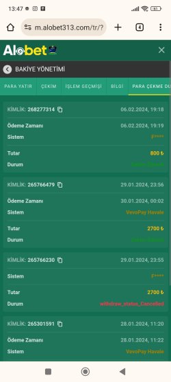 Screenshot_2024-02-07-13-47-54-461_com.android.chrome.jpg