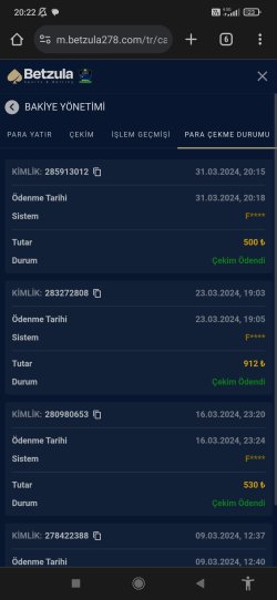Screenshot_2024-03-31-20-22-25-511_com.android.chrome.jpg