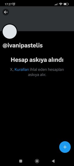 Screenshot_2024-06-12-17-27-19-643_com.twitter.android.jpg
