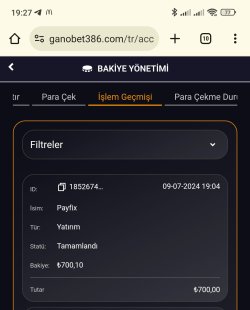 Screenshot_2024-07-09-19-27-46-540_com.android.chrome-edit.jpg