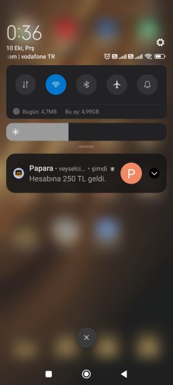 Screenshot_2024-10-10-00-36-02-063_com.miui.home.jpg