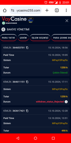 Screenshot_20241015-230128.png