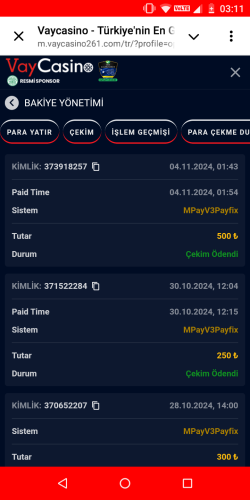 Screenshot_20241104-031110.png