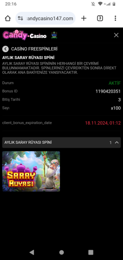 Screenshot_20241117-201638.png