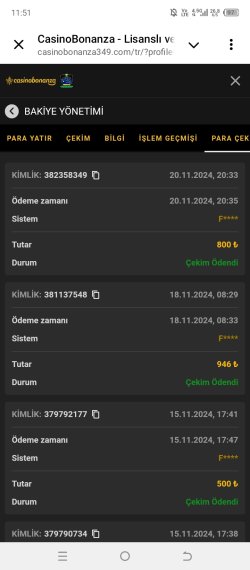Screenshot_20241121-115142.jpg