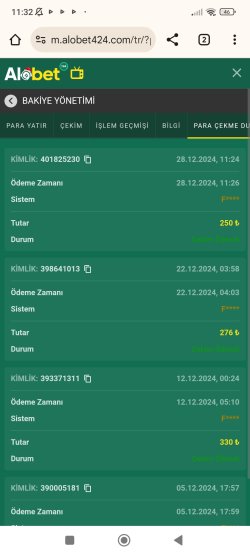 Screenshot_2024-12-28-11-33-00-177_com.android.chrome.jpg