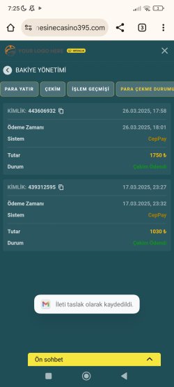 Screenshot_2025-03-27-07-25-40-428_com.android.chrome.jpg