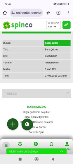 Screenshot_2025-03-27-22-47-14-490_com.android.chrome.jpg