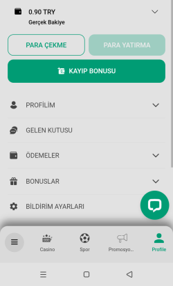 Screenshot_20250530-185455 (1).png