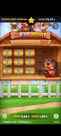 Screenshot_20250601-145240.png