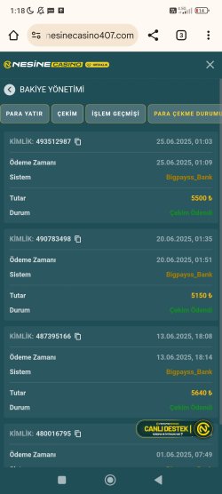 Screenshot_2025-06-25-01-18-52-562_com.android.chrome.jpg